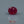 Load and play video in Gallery viewer, Ruby - 4.25 Carat
