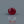 Load and play video in Gallery viewer, Ruby - 3.1 Carat
