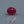 Load and play video in Gallery viewer, Ruby - 4.2 Carat
