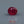 Load and play video in Gallery viewer, Ruby - 4.95 Carat
