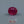 Load and play video in Gallery viewer, Ruby - 4.6 Carat
