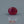 Load and play video in Gallery viewer, Ruby - 3.9 Carat
