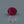 Load and play video in Gallery viewer, Ruby - 3.85 Carat
