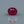 Load and play video in Gallery viewer, Ruby - 4 Carat
