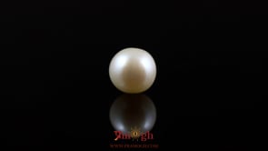 Pearl - 5.75 Carat