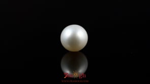 Pearl - 5.65 Carat