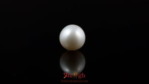 Pearl - 5.5 Carat