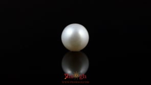 Pearl - 5.8 Carat