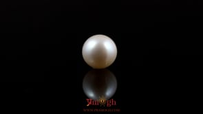 Pearl - 5.2 Carat