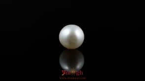 Pearl - 5.65 Carat