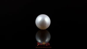 Pearl - 5.55 Carat