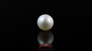 Pearl - 5.25 Carat