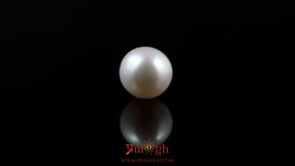 Pearl - 5.5 Carat