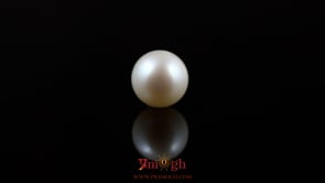 Pearl - 5.45 Carat