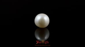 Pearl - 5.45 Carat