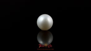 Pearl - 5.05 Carat
