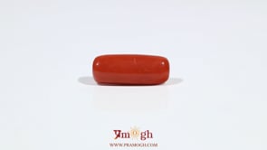 Red Coral - 7.05 Carat