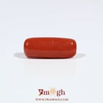 Red Coral - 7.05 Carat