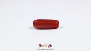 Red Coral - 7.05 Carat