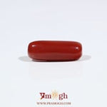 Red Coral - 7.05 Carat