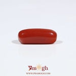 Red Coral - 6.95 Carat