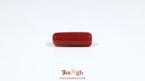 Red Coral - 6.6 Carat