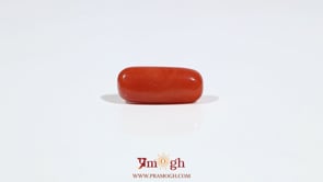 Red Coral - 6.05 Carat