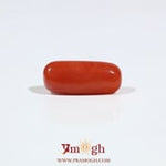 Red Coral - 6.05 Carat