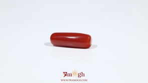 Red Coral - 5.95 Carat