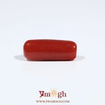 Red Coral - 6.8 Carat