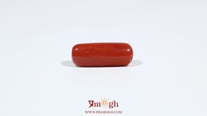 Red Coral - 7.2 Carat