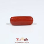 Red Coral - 7.2 Carat