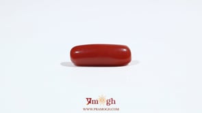 Red Coral - 6.8 Carat