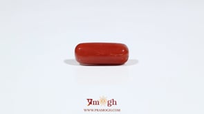 Red Coral - 6.15 Carat