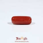 Red Coral - 6.15 Carat