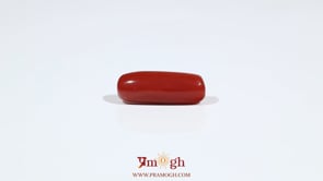 Red Coral - 5.75 Carat