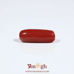 Red Coral - 5.75 Carat