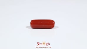 Red Coral - 6.3 Carat