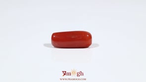 Red Coral - 7.05 Carat