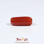 Red Coral - 7.05 Carat