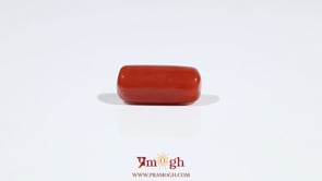 Red Coral - 6.75 Carat
