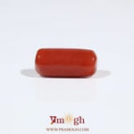 Red Coral - 6.75 Carat