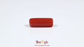 Red Coral - 7.2 Carat