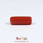 Red Coral - 7.2 Carat