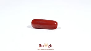 Red Coral - 7 Carat