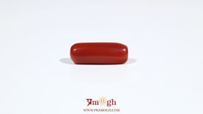Red Coral - 6.45 Carat