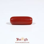 Red Coral - 6.45 Carat