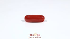 Red Coral - 6.4 Carat