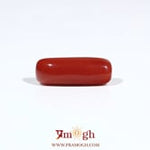Red Coral - 6.4 Carat