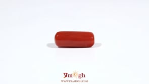 Red Coral - 6.3 Carat